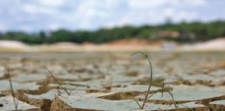 Robuste Vielfalt corporAID Magazin 77: Robust Vielfalt