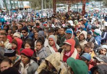 Die Revolution frisst ihre Kinder Auf der Flucht vor dem Hunger: Am Grenzübergang zwischen Kolumbien und Ecuador