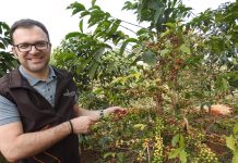 Wichtige Orientierung