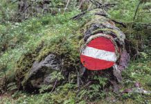 Ein Hoch aufs Holz! corporAID Magazin 80: Ein Hoch aufs Holz