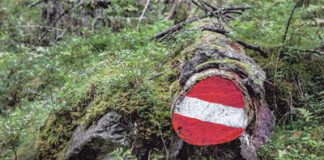 Ein Hoch aufs Holz! corporAID Magazin 80: Ein Hoch aufs Holz