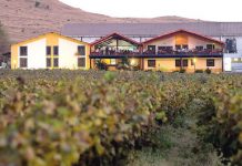 Namaste Chenin Blanc & Cabernet! corporAID Magazin 79: Namaste Chenin Blanc & Cabernet!