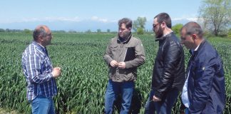 Samen mit Namen Große Chance: Nobles-Geschäftsführer Alexander Ediberidze (Mitte) mit Projektleiter und Behördenvertreter (rechts) beim Erfahrungsaustausch mit einem Vertragslandwirt (links)