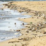 Pakt gegen Plastikmüll Auch Plastikmüll aus reichen Ländern landet in den Weltmeeren. Ein neues Abkommen soll nun dagegen vorgehen.