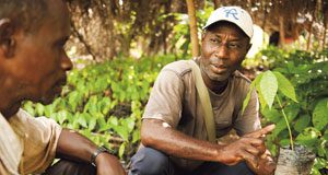 Fairtrade-Gütesiegel: Fair gewinnt Fairtrade-Rohstoffe wie Kakao, Kaffee, Bananen und Baumwolle verzeichnen deutliche Zuwächse.