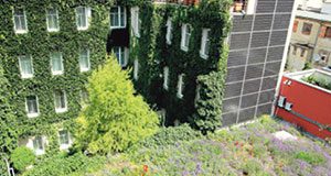 Lehrgänge zur Horizonterweiterung