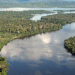 Kein Geld für Holzfäller: Der Amazonas-Fonds verliert Geber Amazonas