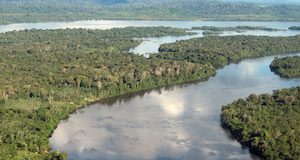 Kein Geld für Holzfäller: Der Amazonas-Fonds verliert Geber Amazonas