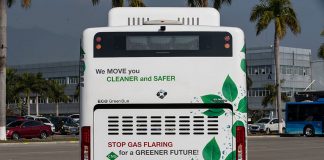 Nutzen statt verbrennen