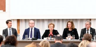 Timing ist alles Präsentation des DAC Peer Review