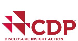 Platz an der Spitze CDP