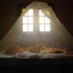 WHO befürchtet Verdopplung der Malariatoten in Afrika