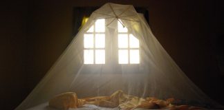 WHO befürchtet Verdopplung der Malariatoten in Afrika