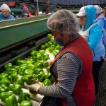 Milliardenrückgänge