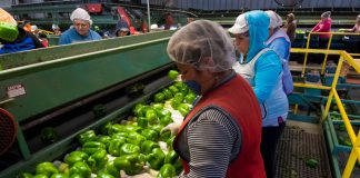 Milliardenrückgänge