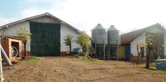 Hygiene am Bauernhof