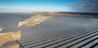 Webevent: Global Green Recovery Global Green Recovery Symbolbild