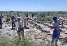 Green Recovery als Weg aus der Krise In Pakistan wird die Green Recovery durch das Pflanzen von Milliarden Bäumen forciert.