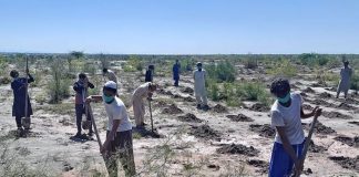 Green Recovery als Weg aus der Krise In Pakistan wird die Green Recovery durch das Pflanzen von Milliarden Bäumen forciert.