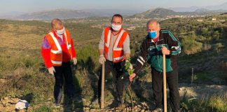 Rückholung des Waldes in Albanien