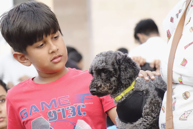 Haustiere in Asien: Auch in Indien boomt der Heimtiermarkt. Im Bild: ein Junge mit einem Welpen