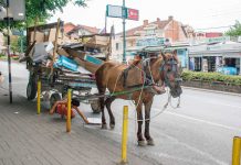 Lab of Tomorrow: Einfälle für Abfälle Das erste österreichische Lab of Tomorrow ergründet Geschäftsmöglichkeiten für den Westbalkan, hier Skopje