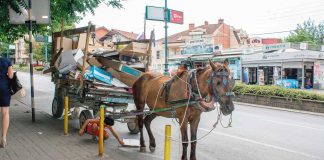 Lab of Tomorrow: Einfälle für Abfälle Das erste österreichische Lab of Tomorrow ergründet Geschäftsmöglichkeiten für den Westbalkan, hier Skopje