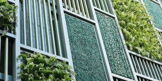 Klima-Vordenker gesucht CSR Klima Vordenker begrünte Fassade