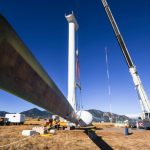 24 Mal grünes Afrika