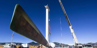 24 Mal grünes Afrika