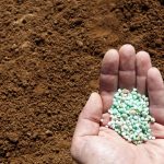 Gerissene Ketten Dünger Brasilien