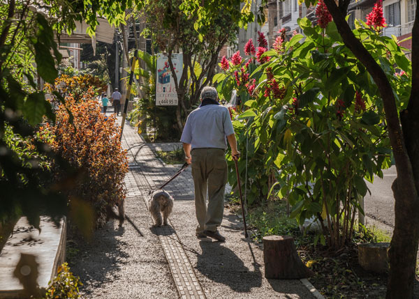 grüne Korridore in Medellín