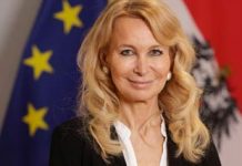 Afrikanische Lösungen Antonella Mei-Pochtler, Bundeskanzleramt