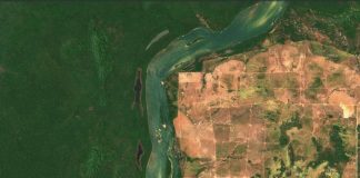 Comeback der Bäume Brasilien