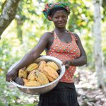 Rekord für Fairtrade