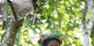 Rekord für Fairtrade