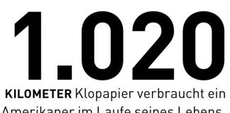 Rollenverteilung WC Papier