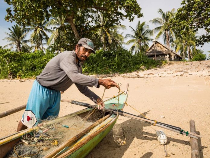 Fischer-Fish-Forever Fish Forever