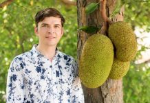 Fleisch vom Baum Stefan Fak