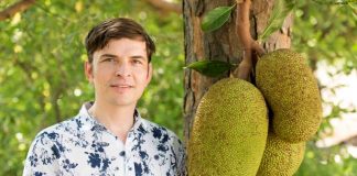 Fleisch vom Baum Stefan Fak