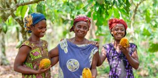 Upcycling-Helden Koa