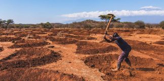 Boden wieder gutmachen Justdiggit