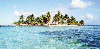 Geld für grüne Zukunft