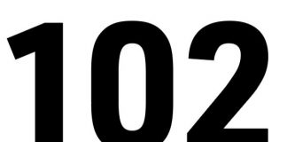 Big im Bienen-Biz Bienen