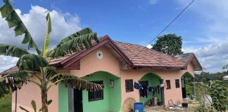 Dachziegel aus Altplastik: Cool, chic und öko Amabo