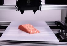 Preise für SDG-Vorreiter