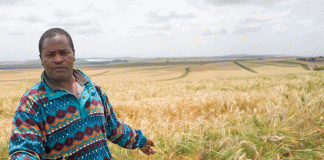 Landwirtschaft in Afrika: Action am Acker Bauer in Kenia