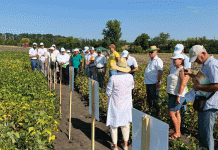 Wirtschaftspartnerschaft: Jede Tonne zählt Donau Soja
