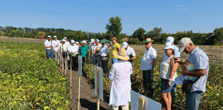 Wirtschaftspartnerschaft: Jede Tonne zählt Donau Soja