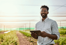 Kofi Annan Award 2.0.: Agritechs für Afrika Kofi Annan Award